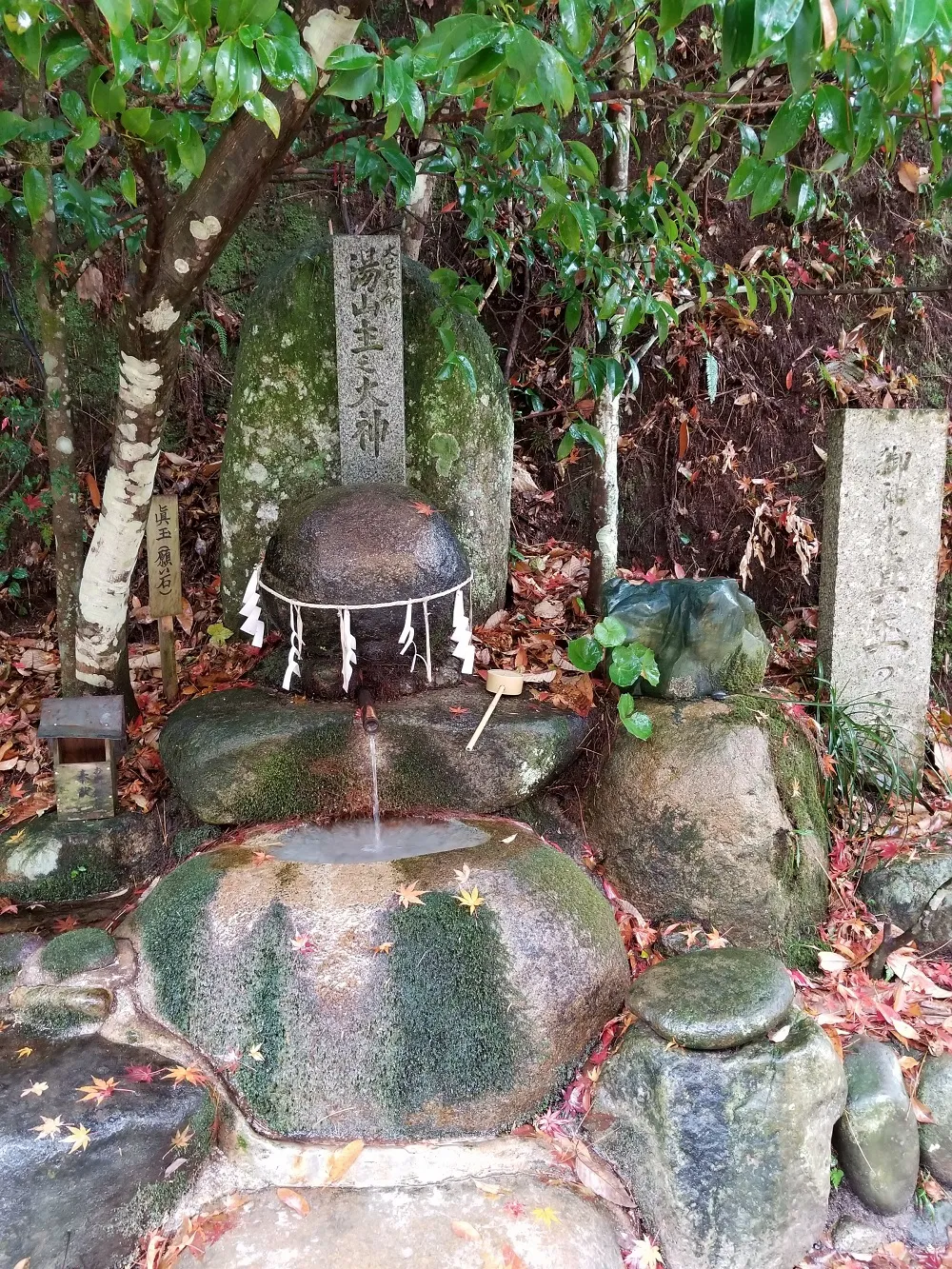 貴重天然石　★願い石★　叶い石　パワーストーン　神社の境内や本殿などにも 玉作湯神社 願い石・叶い石 | しまね観光ナビ｜島根県公式観光